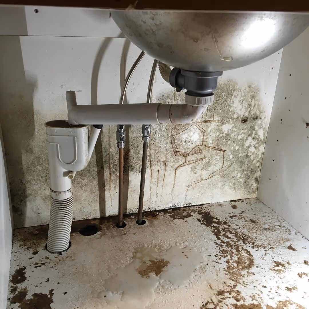 Tiskialtaan alla näkyy vuotava putkisto, joka on aiheuttanut vesivahinkoa ja homekasvustoa kaapin sisäpinnoille.